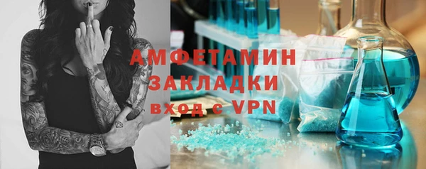 гидра Инта