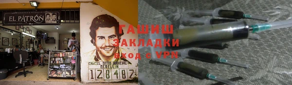 гидра Инта
