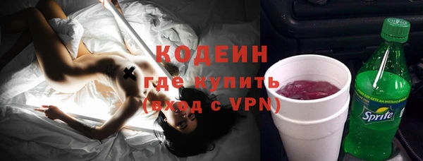 гидра Инта