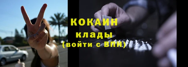 гидра Инта