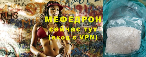 гидра Инта