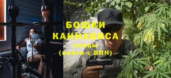 гидра Инта