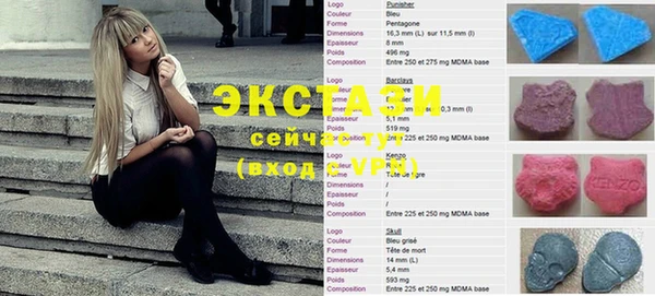 гидра Инта
