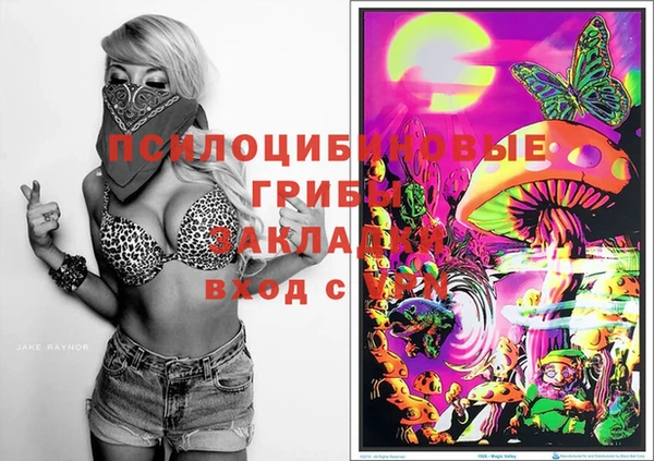 бошки Иннополис