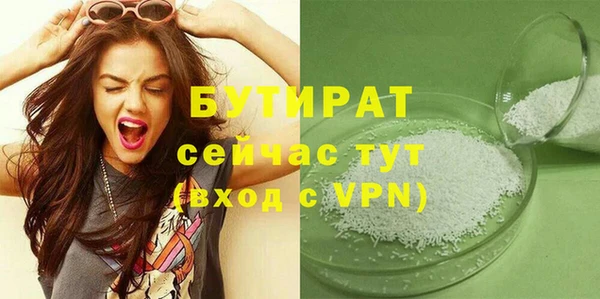 гидра Инта