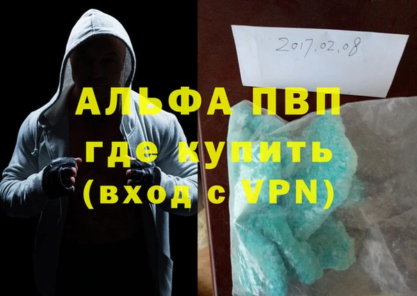 гидра Инта