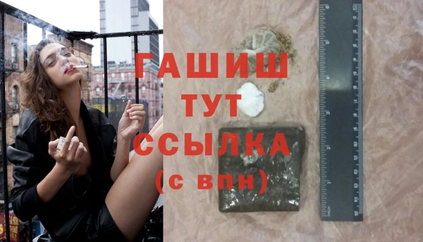 гидра Инта