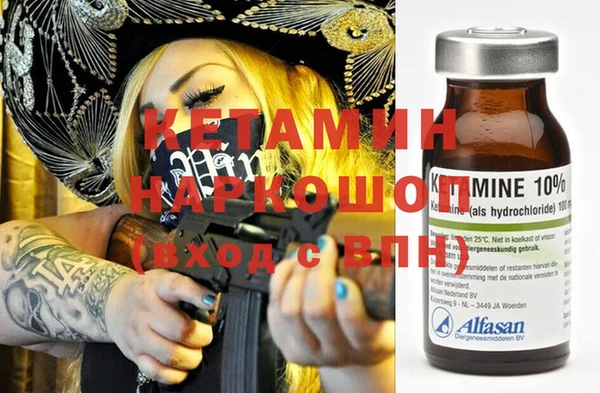 гидра Инта
