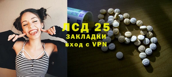 гидра Инта