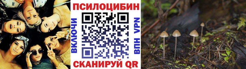 Купить закладки  Фёдоровский  Псилоцибиновые грибы мицелий 